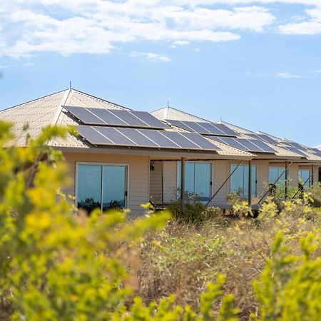 Eco Beach Wilderness Retreat Broome Exterior photo